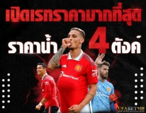 แทงบอลผ่านเว็บ